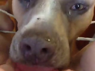 Small Boy Big Girl Xxx Porn