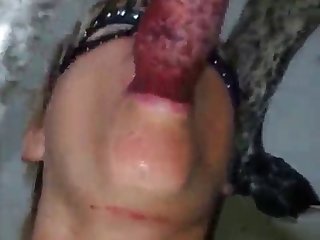 Porn Star Dancing Xxx