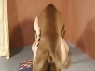 Xxx Porn Box