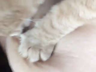 Desi Bhabhi Xxx Hd Porn