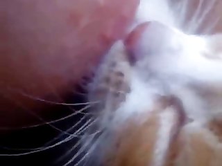 Xxx Of Porn Star