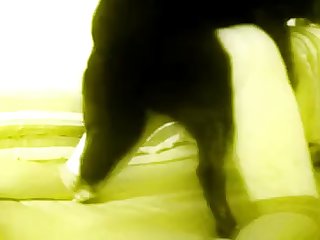 Desi School Girl Porn Xxx