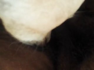 Xxx Desi Lesbian Porn