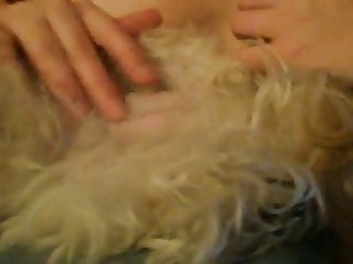 Most Beautiful Women Stars Porn Xxx