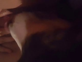 Angela Kinsey Porn Xxx Porn