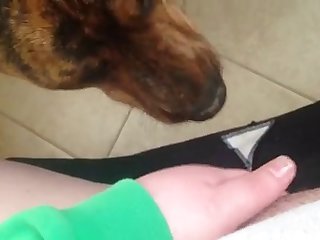 Ina Black Mixed Wrestling Xxx Porn