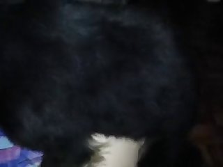 Nora Fatehi Xxx Porn Hd