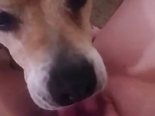 Fluttershy Cosplay Porn Xxx Porn