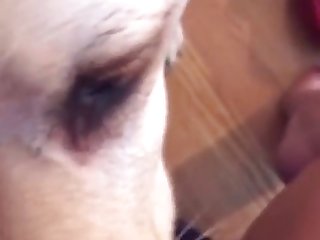 Busty Daisy Anal Training Xxx Porn