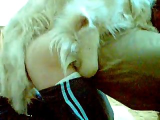 Porn Hot Video Xxx