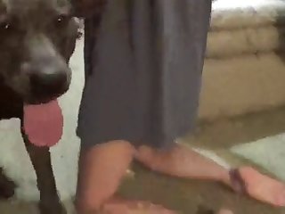Shower Sex Pussy Licking Porn Xxx