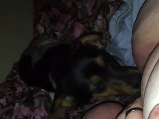 Punjabi Audio Porn Xxx