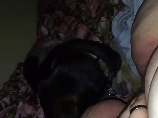 Punjabi Audio Porn Xxx