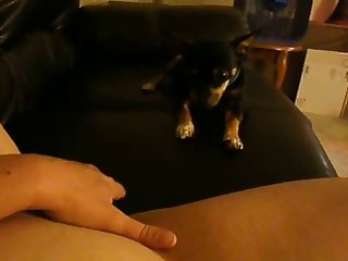 Best Vintage Porn Swingers Xxx