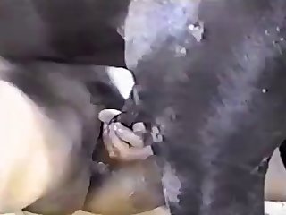 American Porn Video Xxx