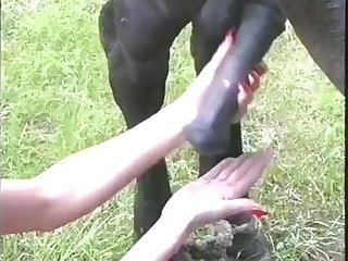 Descargar Juegos Para Android Xxx Porn