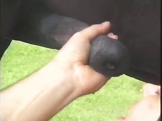 Descargar Juegos Para Android Xxx Porn