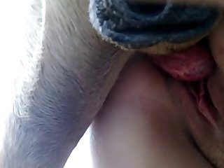 Xxx Porn Movie Sites