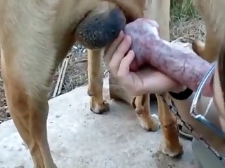 Girlfriend Xxx Porn Video