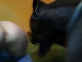 Muy Jovencitas Xxx Porn