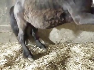 Cassidy Ryan Feet Xxx Porn