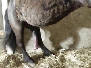 Cassidy Ryan Feet Xxx Porn