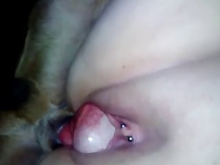 Sexy Busty Blonde Fuck Porn Xxx