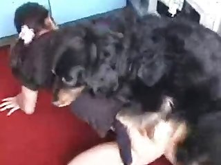 Xxx Video Porn Baby