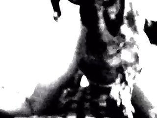 Carrie Lee Porn Star Xxx Porn