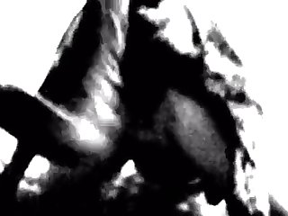 Carrie Lee Porn Star Xxx Porn