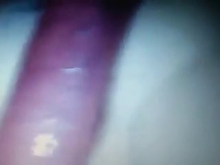 Porn Pics Porn Xxx