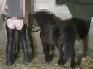Sex Mom Porn Xxx