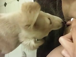 Xxx Porn Zoofilia Sesso