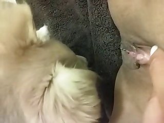 Xxx Porn Zoofilia Sesso