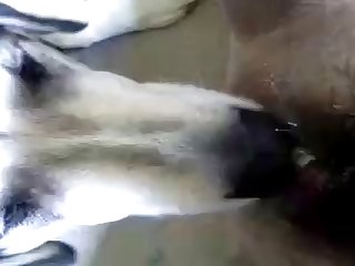 Kaminari Denki Xxx Porn