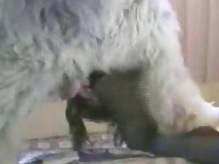 Xxx Sex Orgasm Porn Xxx