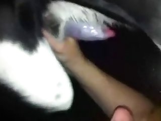 Brandi Passante Porn Xxx