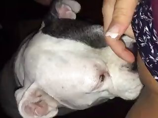Mariam Instagram Xxx Porn