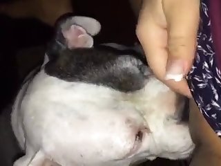 Mariam Instagram Xxx Porn