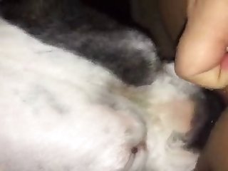 Mariam Instagram Xxx Porn