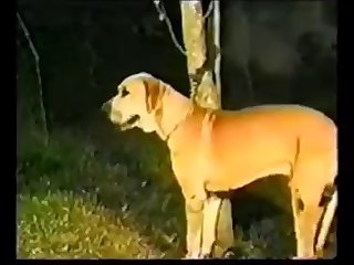 Indian Porn Stories Xxx