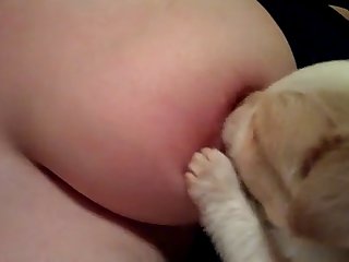 Story Movies Porn Xxx