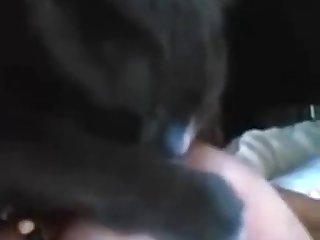 Director Of Batman Xxx A Porn Parody