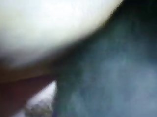 Babybun Xxx Porn