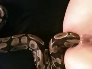 African Porn Tube Xxx