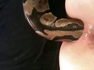 African Porn Tube Xxx