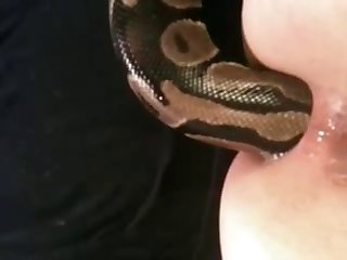 African Porn Tube Xxx