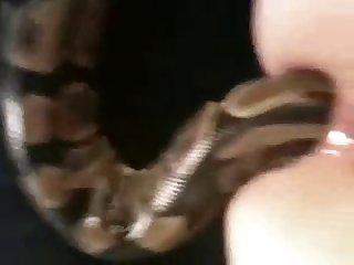 African Porn Tube Xxx