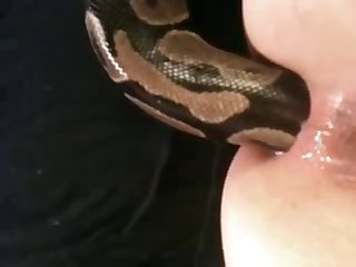 African Porn Tube Xxx