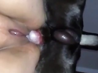 Xhamster Xxx Porn Movies